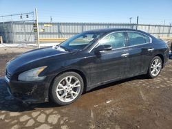 Nissan Maxima salvage cars for sale: 2013 Nissan Maxima S