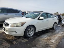 Honda Accord salvage cars for sale: 2008 Honda Accord EXL