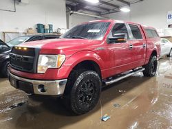 2010 Ford F150 Supercrew for sale in Elgin, IL