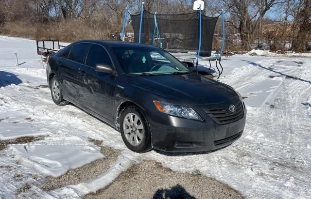 2009 Toyota Camry Hybrid