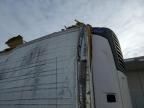 2025 Cimc Trailer