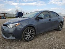 Toyota Corolla l salvage cars for sale: 2015 Toyota Corolla L