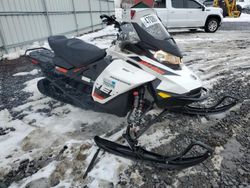 Skidoo Snowmobile salvage cars for sale: 2019 Skidoo 2019 Skidoo Renegade