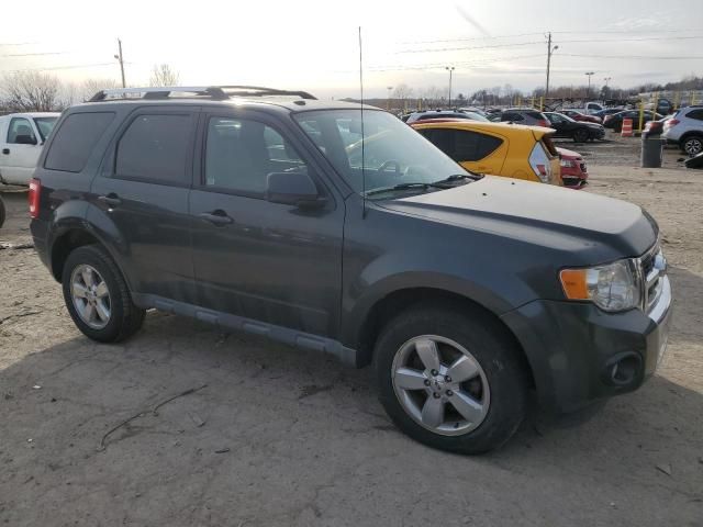 2009 Ford Escape Limited