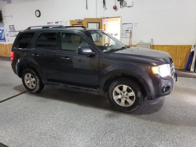 2009 Ford Escape Limited