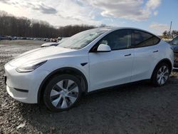 2021 Tesla Model Y for sale in Windsor, NJ