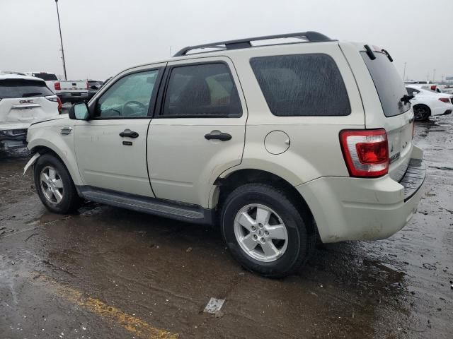 2009 Ford Escape XLT