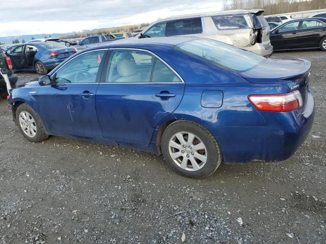 2009 Toyota Camry Hybrid