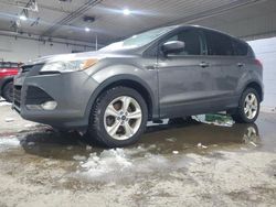 Ford salvage cars for sale: 2014 Ford Escape SE