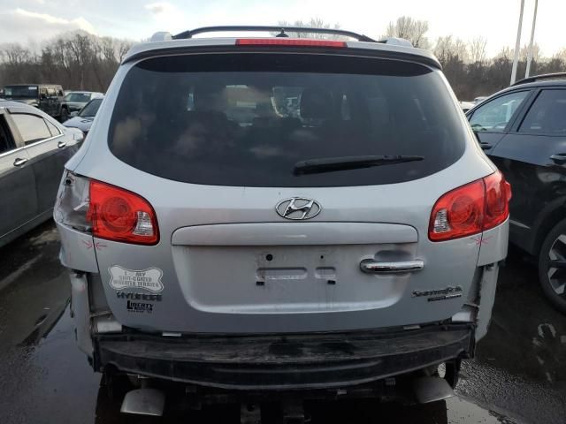 2009 Hyundai Santa FE SE