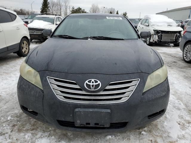 2009 Toyota Camry Hybrid