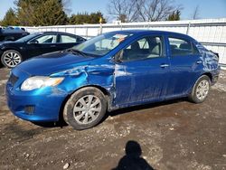 Toyota Corolla salvage cars for sale: 2010 Toyota Corolla Base