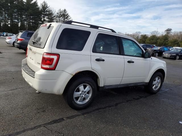 2009 Ford Escape XLT