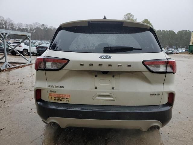 2022 Ford Escape SE