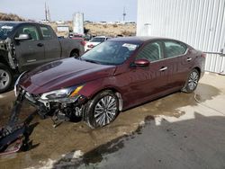 Nissan Altima salvage cars for sale: 2023 Nissan Altima SV