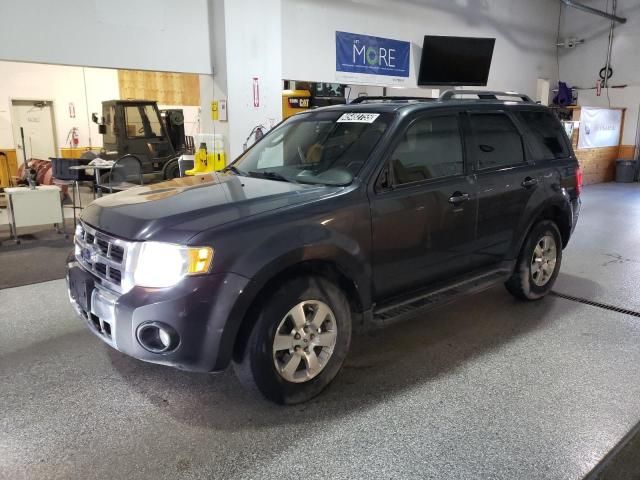 2009 Ford Escape Limited