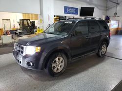 Ford salvage cars for sale: 2009 Ford Escape Limited