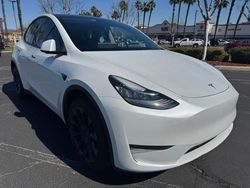 Tesla Model y salvage cars for sale: 2023 Tesla Model Y