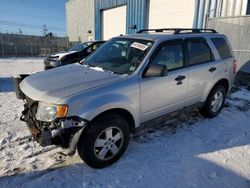 2012 Ford Escape XLT for sale in Elmsdale, NS