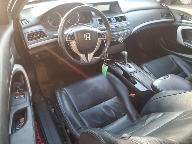 2010 Honda Accord EXL