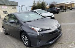 Salvage cars for sale from Copart Arlington, WA: 2016 Toyota Prius