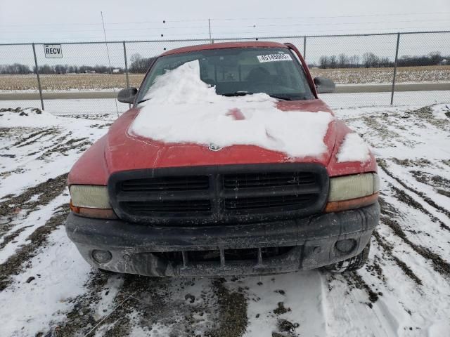 2002 Dodge Dakota Base