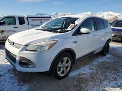 Salvage cars for sale from Copart Magna, UT: 2013 Ford Escape SE