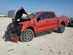 Salvage cars for sale from Copart Haslet, TX: 2023 Ford F150 Supercrew