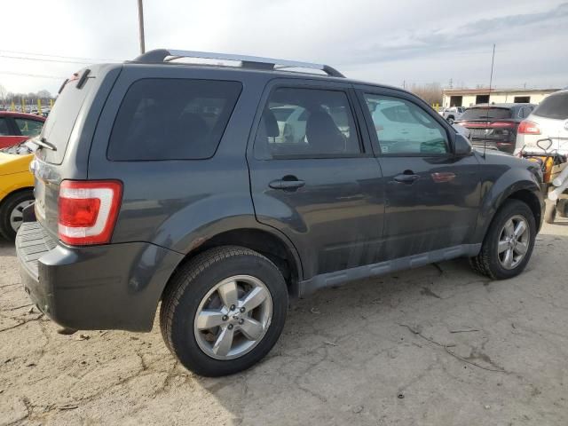 2009 Ford Escape Limited