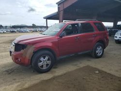 2012 Ford Escape xlt en venta en American Canyon, CA