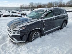 2023 Hyundai Santa FE Limited for sale in Davison, MI