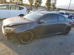 Scion salvage cars for sale: 2005 Scion TC