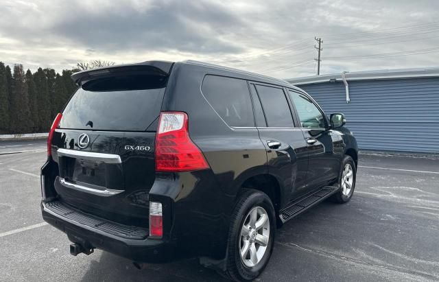 2011 Lexus GX 460