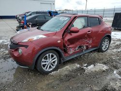 Nissan Juke s salvage cars for sale: 2011 Nissan Juke S