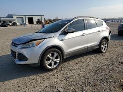 Ford salvage cars for sale: 2014 Ford Escape SE