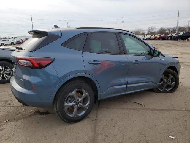 2024 Ford Escape ST Line