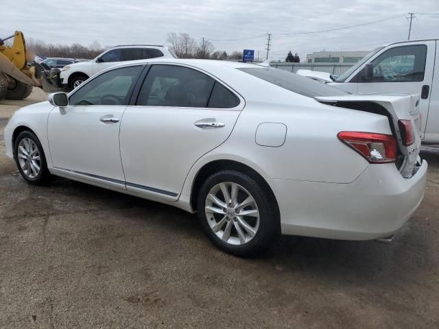 2010 Lexus ES 350