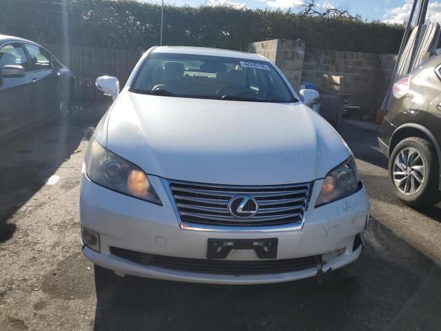 2010 Lexus ES 350