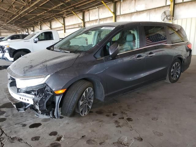 2023 Honda Odyssey EXL