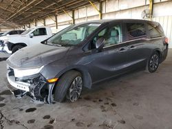 Vehiculos salvage en venta de Copart Phoenix, AZ: 2023 Honda Odyssey EXL