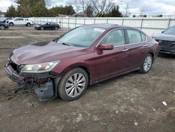 Honda Accord salvage cars for sale: 2014 Honda Accord EXL