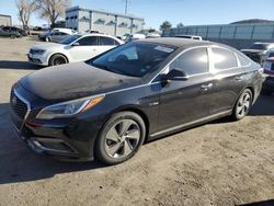 Hyundai Sonata salvage cars for sale: 2016 Hyundai Sonata Hybrid