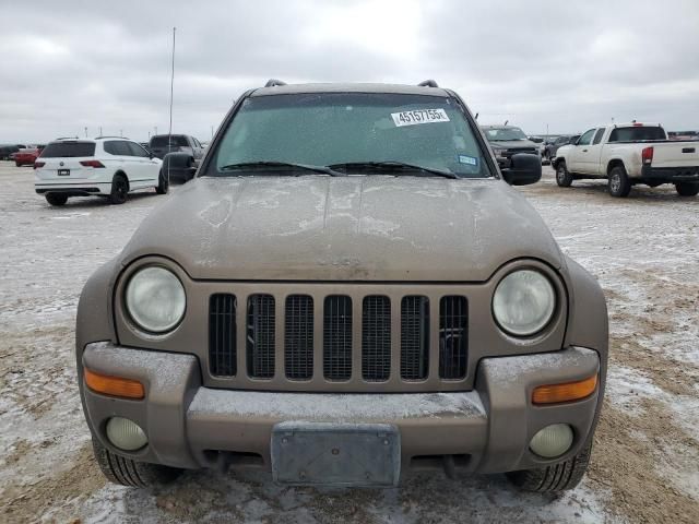 2002 Jeep Liberty Limited