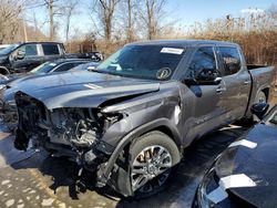 Vehiculos salvage en venta de Copart Marlboro, NY: 2023 Toyota Tundra Crewmax Limited