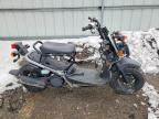 2022 Honda NPS50