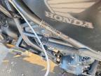 2025 Honda CMX500 A