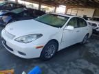 2003 Lexus Es 300