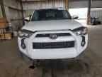 2019 Toyota 4runner Sr5/sr5 Premium