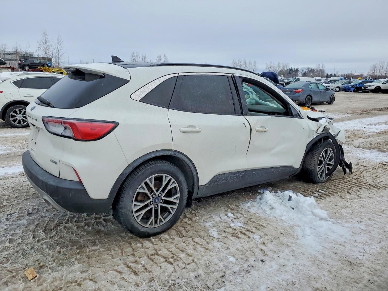 2020 Ford Escape sel