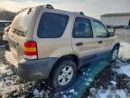 2007 Ford Escape xlt